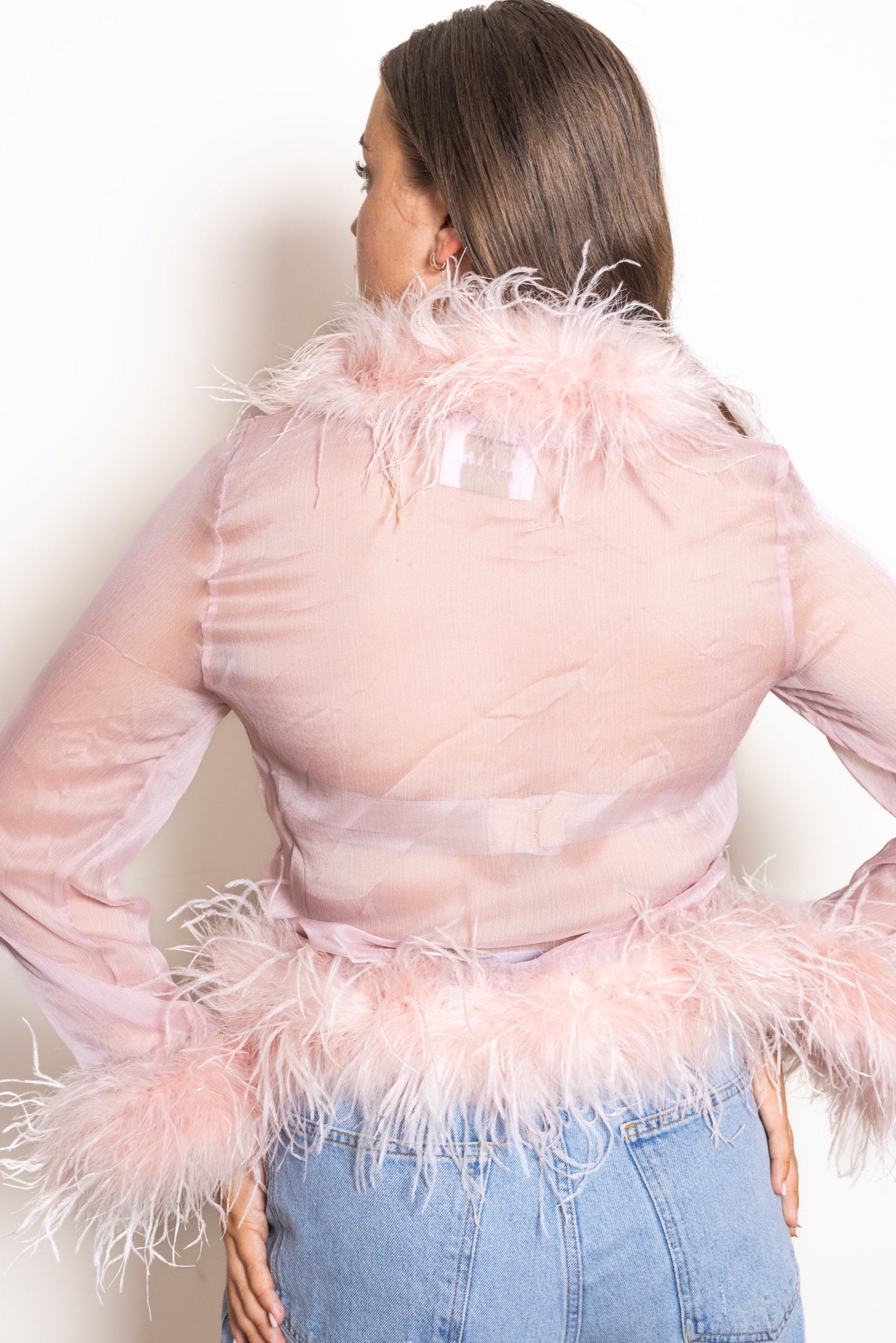 Gigi sheer feather blouse