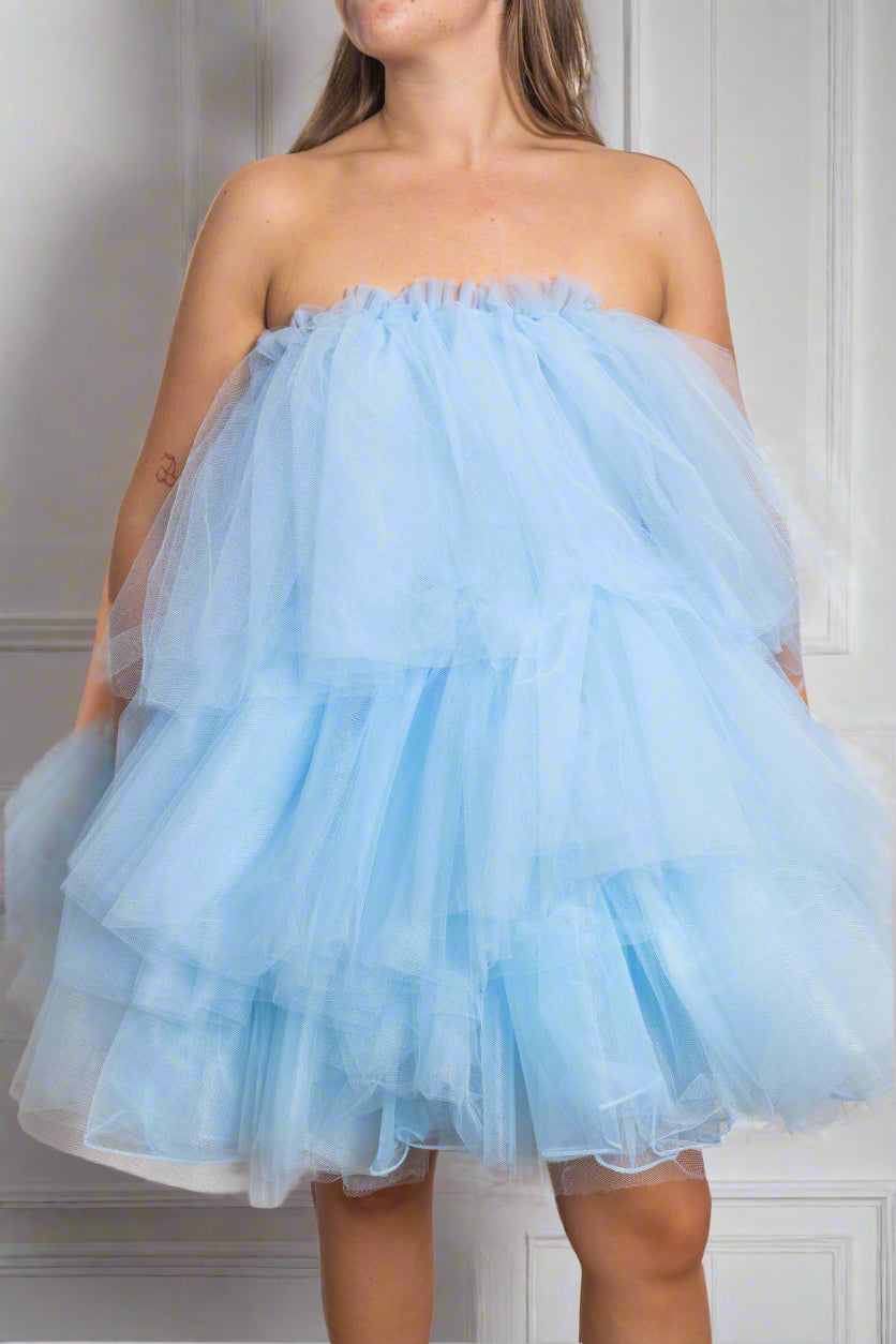 Tulle Dress / Skirt