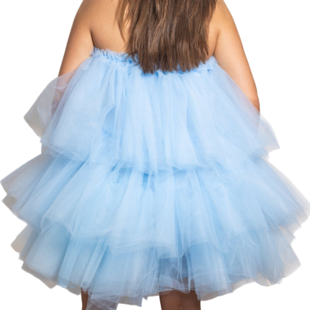 
                  
                    Tulle Dress / Skirt
                  
                