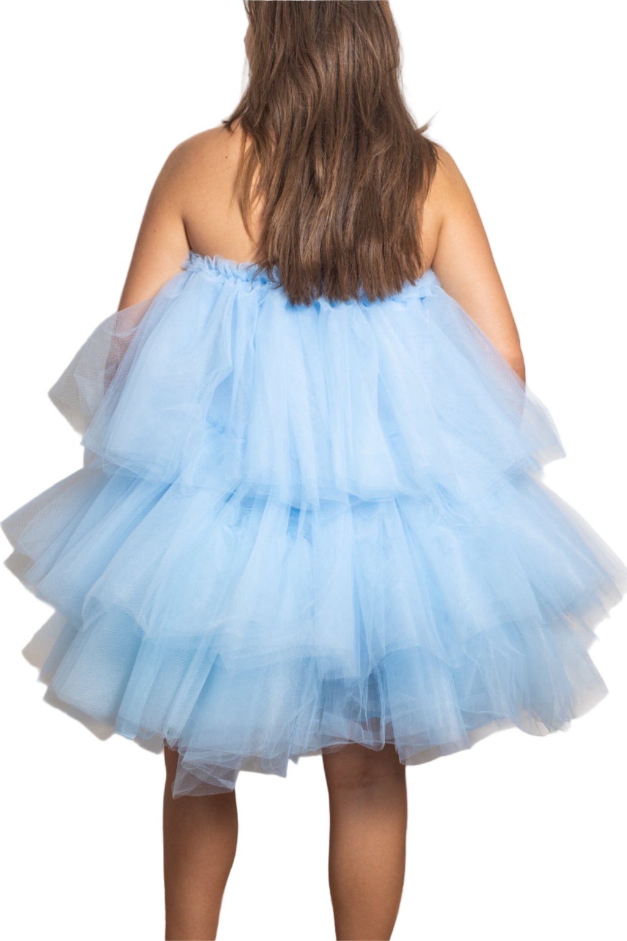 
                  
                    Tulle Dress / Skirt
                  
                
