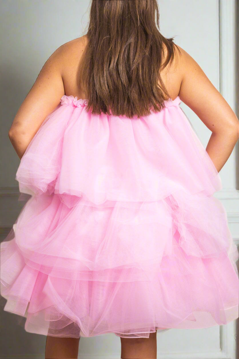 
                  
                    Tulle Dress / Skirt
                  
                